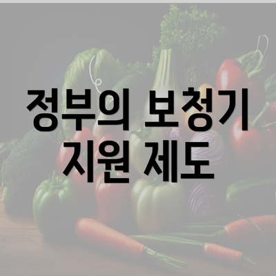 정부의 보청기 지원 제도