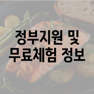 정부지원 및 무료체험 정보