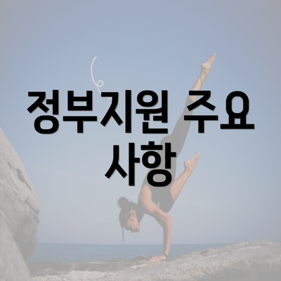 정부지원 주요 사항