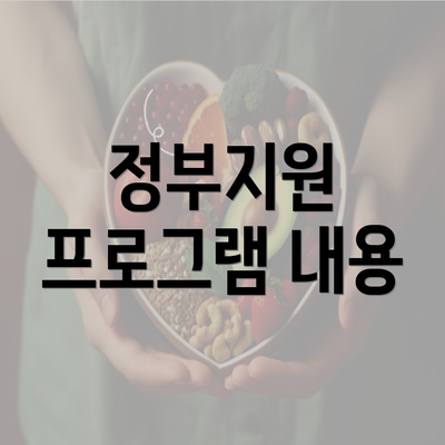정부지원 프로그램 내용
