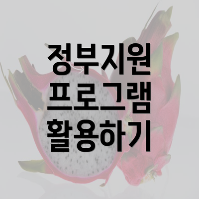 정부지원 프로그램 활용하기