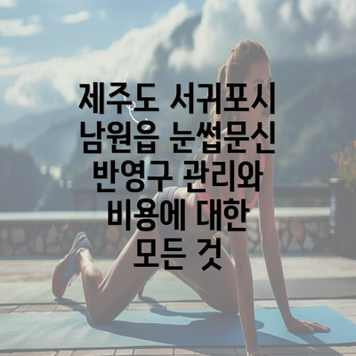 제주도 서귀포시 남원읍 눈썹문신 반영구 관리와 비용에 대한 모든 것