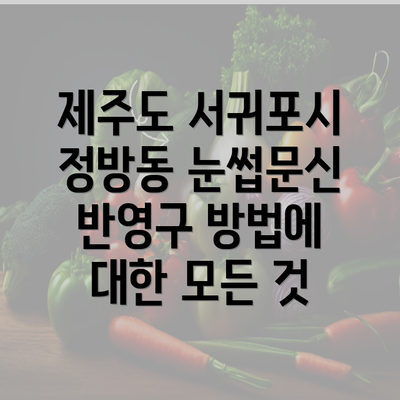 제주도 서귀포시 정방동 눈썹문신 반영구 방법에 대한 모든 것