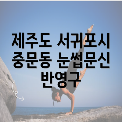 제주도 서귀포시 중문동 눈썹문신 반영구