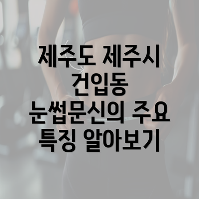 제주도 제주시 건입동 눈썹문신의 가격과 비용