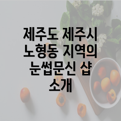 제주도 제주시 노형동 지역의 눈썹문신 샵 소개