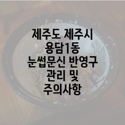 제주도 제주시 용담1동 눈썹문신 반영구 관리 및 주의사항