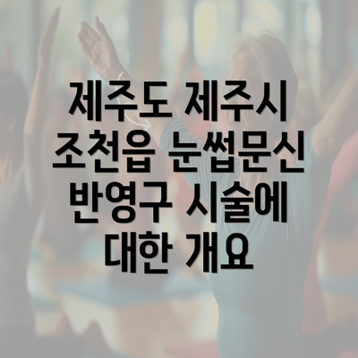 제주도 제주시 조천읍 눈썹문신 반영구 시술에 대한 개요