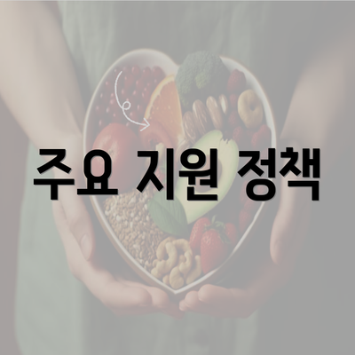 주요 지원 정책