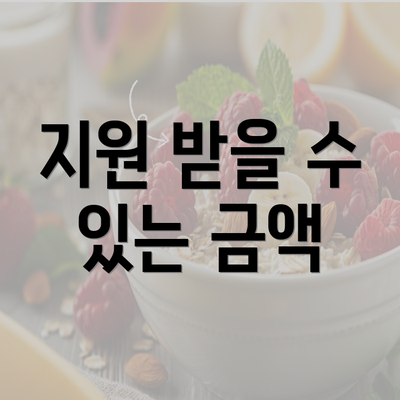 지원 받을 수 있는 금액