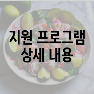 지원 프로그램 상세 내용