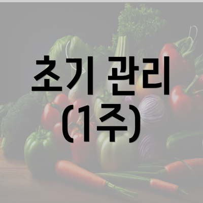 초기 관리 (1주)