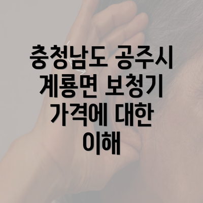 충청남도 공주시 계룡면 보청기 가격에 대한 이해