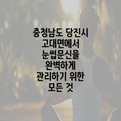 충청남도 당진시 고대면에서 눈썹문신을 완벽하게 관리하기 위한 모든 것