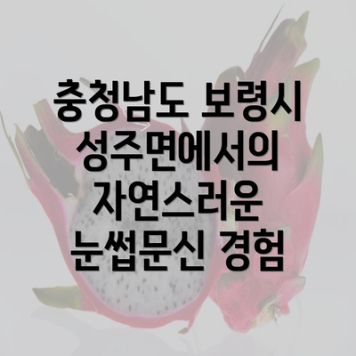 충청남도 보령시 성주면에서의 자연스러운 눈썹문신 경험