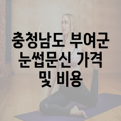 충청남도 부여군 눈썹문신 가격 및 비용