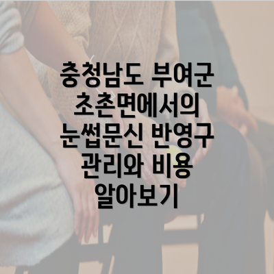 충청남도 부여군 초촌면에서의 눈썹문신 반영구 관리와 비용 알아보기