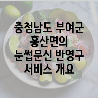 충청남도 부여군 홍산면의 눈썹문신 반영구 서비스 개요