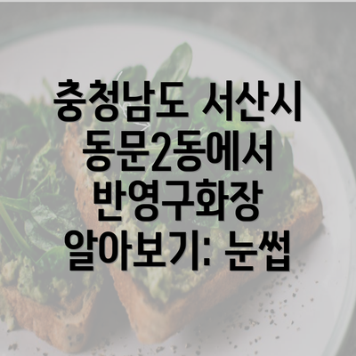 충청남도 서산시 동문2동에서 반영구화장 알아보기: 눈썹