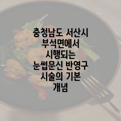 충청남도 서산시 부석면에서 시행되는 눈썹문신 반영구 시술의 기본 개념