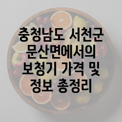 충청남도 서천군 문산면에서의 보청기 가격 및 정보 총정리