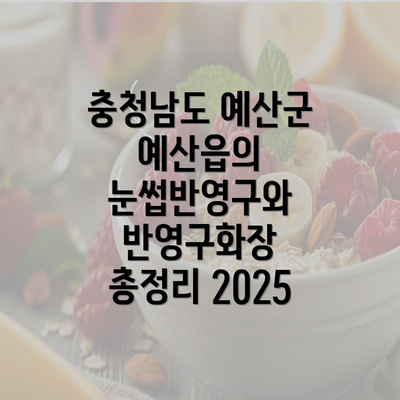 충청남도 예산군 예산읍의 눈썹반영구와 반영구화장 총정리 2025