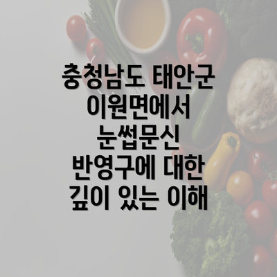 충청남도 태안군 이원면에서 눈썹문신 반영구에 대한 깊이 있는 이해