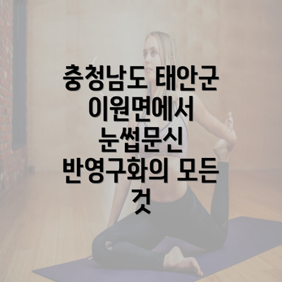 충청남도 태안군 이원면에서 눈썹문신 반영구화의 모든 것