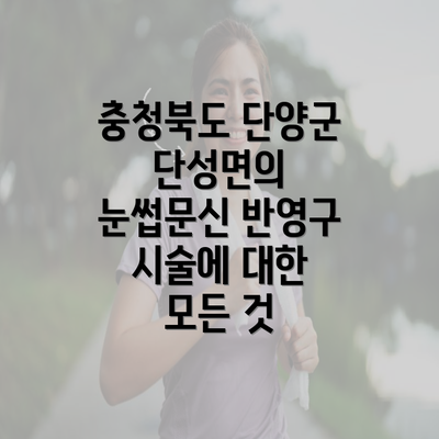 충청북도 단양군 단성면의 눈썹문신 반영구 시술에 대한 모든 것