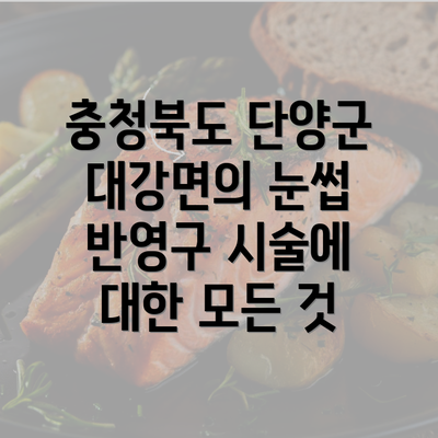 충청북도 단양군 대강면의 눈썹 반영구 시술에 대한 모든 것