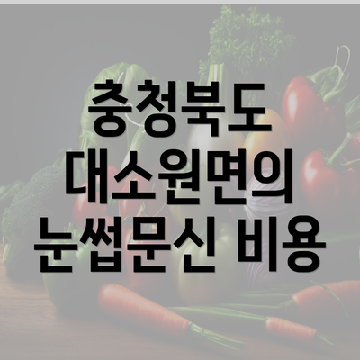 충청북도 대소원면의 눈썹문신 비용