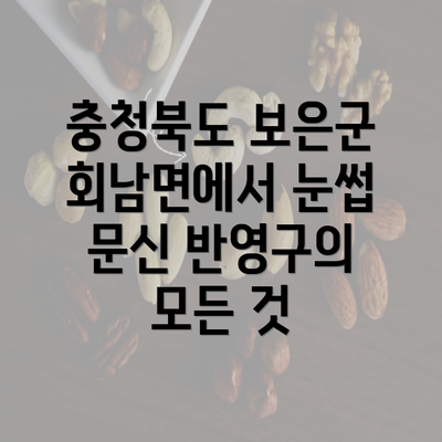 충청북도 보은군 회남면에서 눈썹 문신 반영구의 모든 것