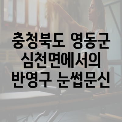 충청북도 영동군 심천면에서의 반영구 눈썹문신