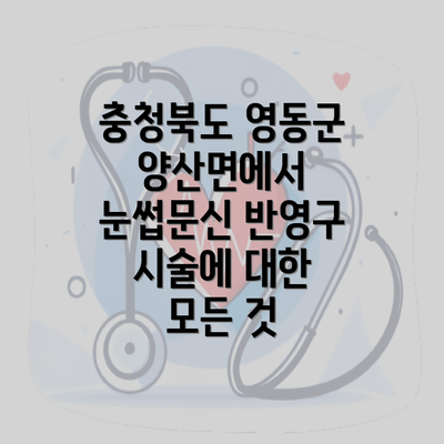 충청북도 영동군 양산면에서 눈썹문신 반영구 시술에 대한 모든 것