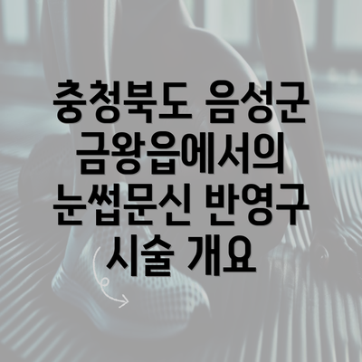 충청북도 음성군 금왕읍에서의 눈썹문신 반영구 시술 개요