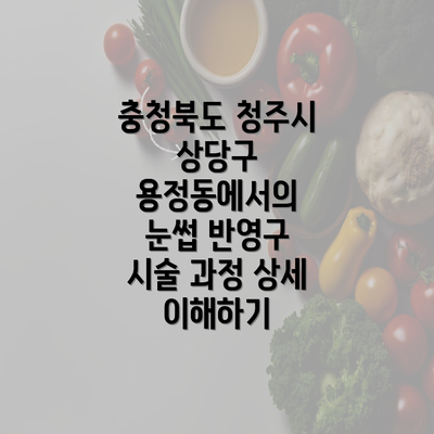 충청북도 청주시 상당구 용정동에서의 눈썹 반영구 시술 과정 상세 이해하기