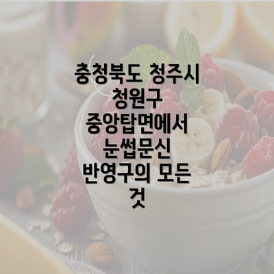 충청북도 청주시 청원구 중앙탑면에서 눈썹문신 반영구의 모든 것