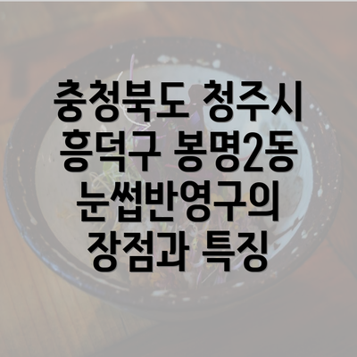 충청북도 청주시 흥덕구 봉명2동 눈썹반영구의 장점과 특징