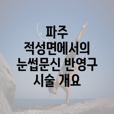 파주 적성면에서의 눈썹문신 반영구 시술 개요