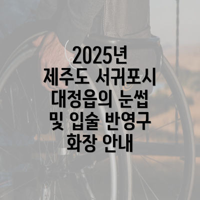 2025년 제주도 서귀포시 대정읍의 눈썹 및 입술 반영구 화장 안내