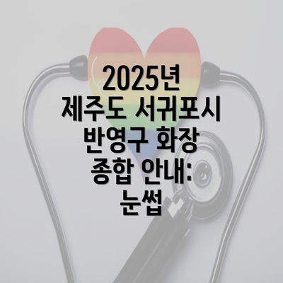 2025년 제주도 서귀포시 반영구 화장 종합 안내: 눈썹