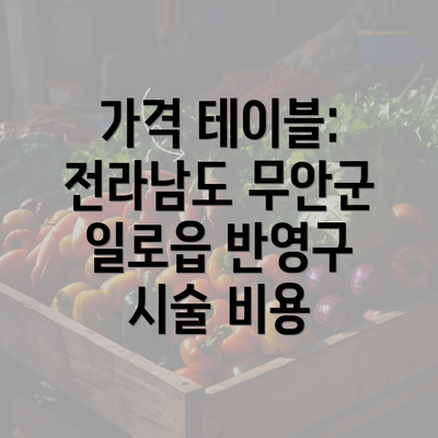 가격 테이블: 전라남도 무안군 일로읍 반영구 시술 비용