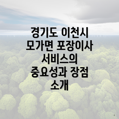 경기도 이천시 모가면 포장이사 서비스의 중요성과 장점 소개