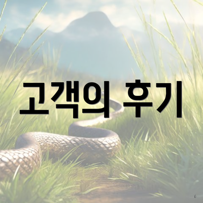 고객의 후기