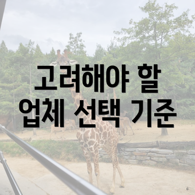 고려해야 할 업체 선택 기준