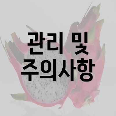 관리 및 주의사항