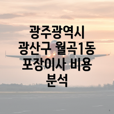 광주광역시 광산구 월곡1동 포장이사 비용 분석