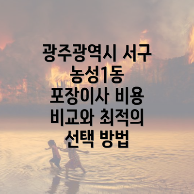 광주광역시 서구 농성1동 포장이사 비용 비교와 최적의 선택 방법