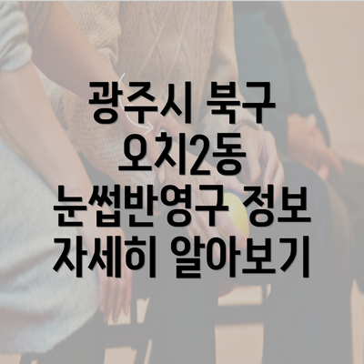 광주시 북구 오치2동 눈썹반영구 정보 자세히 알아보기