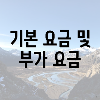 기본 요금 및 부가 요금